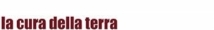 Arcorpamento delle organizzazioni